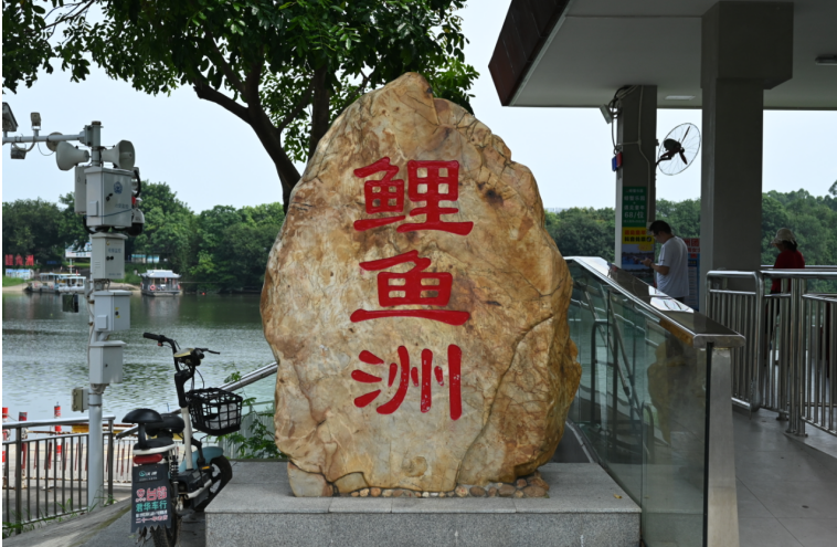 d360abc6-649a-42e3-96a6-2163d18d49f6.png