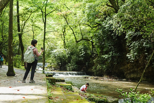 1773483483486011.jpg 备用-SHI_4759.JPG.jpg