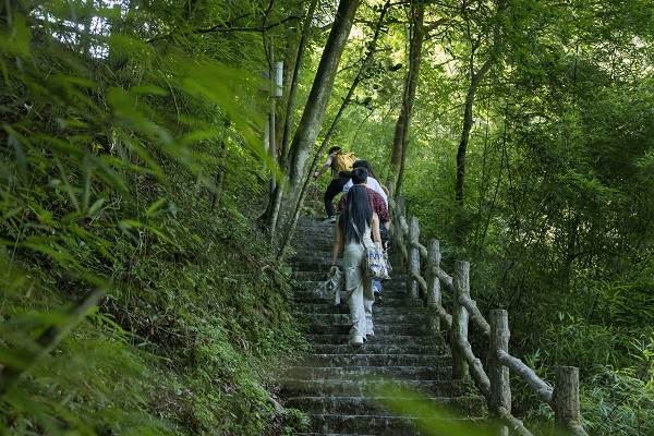 1773483569153167.jpg 8-COYO7304.JPG