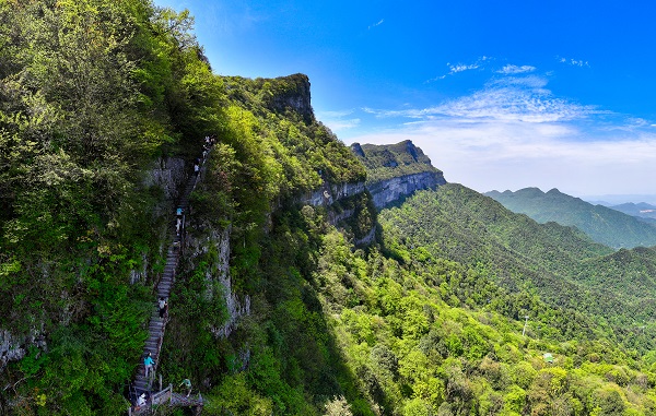 1773483404761219.jpg 金佛天梯.jpg