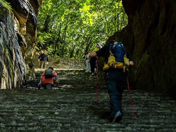 1773483543717969.jpg 微信图片_20230928090445.jpg