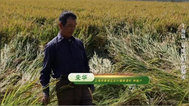 �ź� ��һʩ�ͺá� ˮ��ר�÷ʣ����� 37.8% ��������